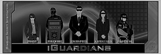 HOMELAND SECURITY INVESTIGATIONS PROXY POLICE FIREWIRE HIGHSPEED SAFEGUARD PROTOCOL IGUARDIANS logo