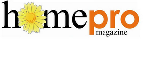 HOMEPRO MAGAZINE logo
