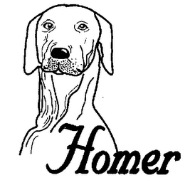 HOMER logo