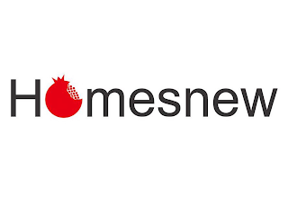 HOMESNEW logo