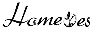 HOMEYES logo