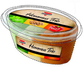 HOMMUS TRIO logo