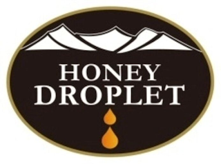 HONEY DROPLET logo