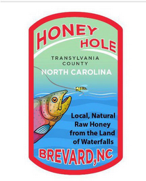 HONEY HOLE TRANSYLVANIA COUNTY NORTH CAROLINA LOCAL, NATURAL RAW HONEY FROM THE LAND OF WATERFALLS BREVARD, NC logo