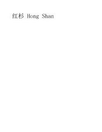 HONG SHAN logo