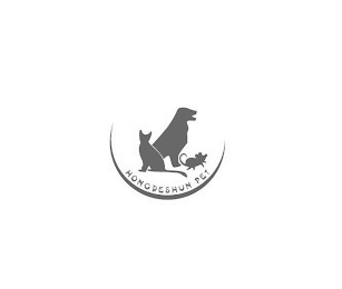 HONGDESHUN PET logo