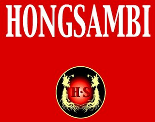 HONGSAMBI, H AND S logo