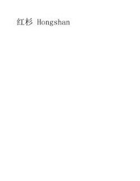 HONGSHAN logo