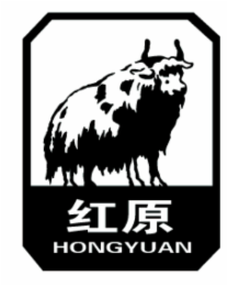 HONGYUAN logo