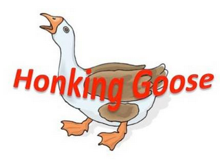 HONKING GOOSE logo