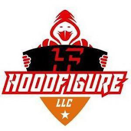 HOODFIGURE LLC logo