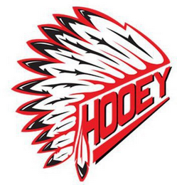 HOOEY logo