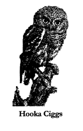 HOOKA CIGGS logo