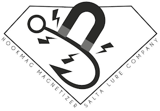 HOOKMAG MAGNETIZER SALTA LURE COMPANY logo