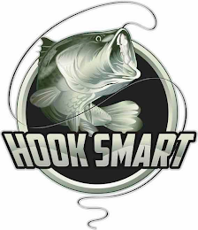 HOOKSMART logo