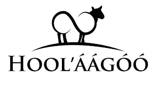 HOOL AAGOO logo