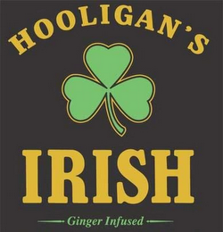 HOOLIGAN'S IRISH GINGER INFUSED logo