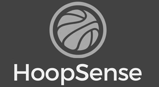 HOOPSENSE logo