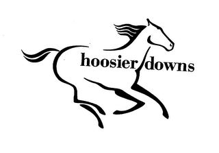 HOOSIER DOWNS logo