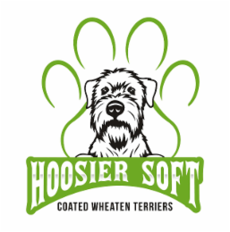 HOOSIER SOFT COATED WHEATEN TERRIERS logo
