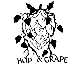 HOP & GRAPE logo