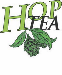 HOP TEA logo