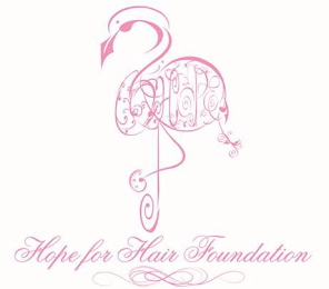 HOPE FOR HAIR FOUNDATION logo