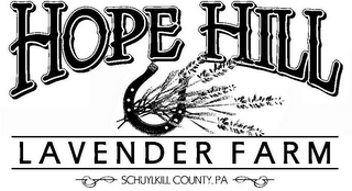 HOPE HILL LAVENDER FARM SCHUYLKILL COUNTY. PA logo