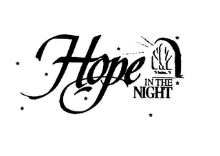HOPE IN THE NIGHT logo