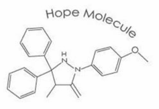 HOPE MOLECULE H N N logo
