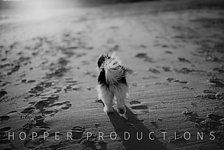 HOPPER PRODUCTIONS logo