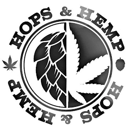 HOPS & HEMP logo