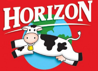 HORIZON logo