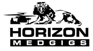HORIZON MEDGIGS logo