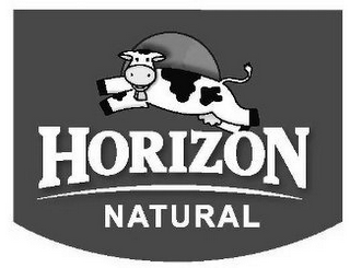 HORIZON NATURAL logo