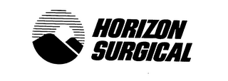 HORIZON SURGICAL logo