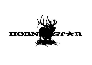 HORN STAR logo