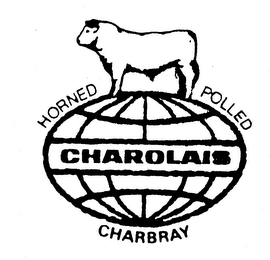 HORNED POLLED CHAROLAIS CHARBRAY logo