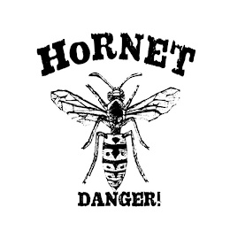 HORNET DANGER! logo
