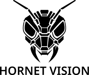 HORNET VISION logo