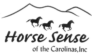 HORSE SENSE OF THE CAROLINAS, INC logo