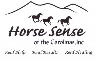 HORSE SENSE OF THE CAROLINAS INC. REAL HELP REAL RESULTS REAL HEALING logo