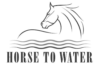HORSE TO WATER logo