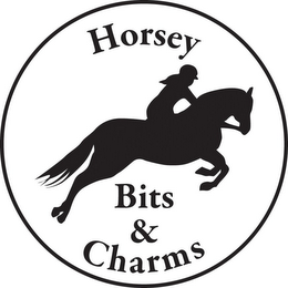 HORSEY BITS & CHARMS logo