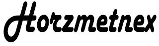 HORZMETNEX logo