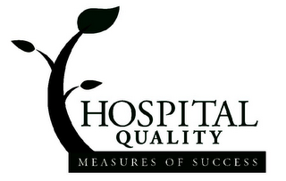 HOSPITAL QUALITY MEASURES OF SUCCESS logo
