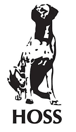 HOSS logo