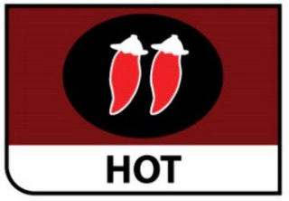HOT logo