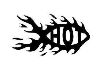 HOT logo