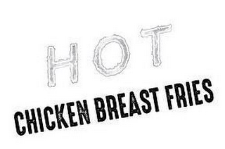HOT CHICKEN BREAST FRIES logo